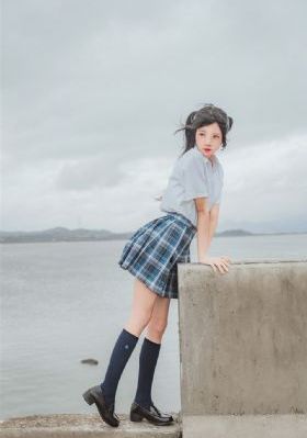 中国市场和欧美市场_DVD高清完整版